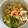 El cooksnap de Carmen Gloria García cuando hizo Yakimeshi de salmón y camarones.