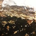 El cooksnap de Maria Luisa Penna cuando hizo Torta Rogel con nueces(masa de 2 ingredientes)😜.