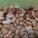 Cooksnap dari Rina Ramadani untuk resep Resep Kacang Tojin / Kacang Bawang Khas Minang Tanpa Santan