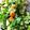 Сooksnap від Anna healthy food 🕊️ , який(а) приготував(ла) Салат табуле на основе булгура.