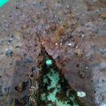 Cooksnap dari Kartika Annisa Lestari untuk resep Bolu Tape Ketan Hitam