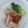 Cooksnap nur syuhada semasa beliau membuat Kuetiau Th’ng (Chinese Style).