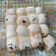 Cooksnap dari MaYuZa's Kitchen untuk resep Japanese Soft Fluffy Milk Bread