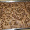 Sonya W.'s cooksnap of when they made Easy Double Chocolate Brownies.