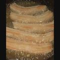 Cooksnap dari Nur Yulia untuk resep Churros