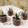 Cooksnap dari Frielingga Sit untuk resep Choco Mousse Pudding dengan Jelly Mushroom