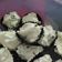 Cooksnap dari Nunik untuk resep Choco crispy meringue