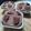Cooksnap dari Kurnia Kemala Sari untuk resep Fudgy brownies dari putih telur