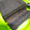 Cooksnap dari Oktavia Dian Milanti untuk resep Brownies kukus ala Amanda (no mixer)