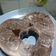 Cooksnap dari Rizky Septian untuk resep Puding Oreo simpel