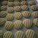 Cooksnap dari Abdus Somad untuk resep Butter cookies