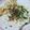 Cooksnap dari Nuni Wulan untuk resep Bubur Ayam Oatmeal