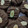 Cooksnap dari Arum Puspitasari untuk resep Good Time Cookies Choco Chips-Renyah (KW)