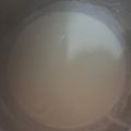 El cooksnap de yubelkis1929 cuando hizo Salsa bechamel facil.