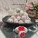 Cooksnap dari Adelia Firdaus untuk resep Strawbery Snow Ball