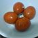 Cooksnap dari Wati Wati untuk resep Telur Pindang Praktis