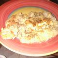 petalchan's cooksnap of when they made Parmesan Breaded Pork Chops.