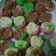 Cooksnap dari Zeetyzee untuk resep Bolu kukus mawar simple