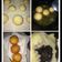 Cooksnap dari Fitria Tarmizi untuk resep Roti Goreng Isi coklat