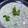 Naila Asif's cooksnap of when they made Green Raita.