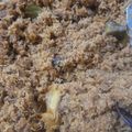 Cooksnap dari Septy Tyta untuk resep Serundeng Daging Sapi Tahan Lama