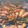 Pankti Baxi Desai's cooksnap of when they made ચીલી પોટેટો (Chili Potato Recipe In Gujarati).