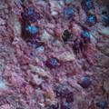 MommaDCouey's cooksnap of when they made Bread Pudding.