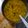 roli sinha 's cooksnap of when they made Dal fry.