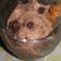Cooksnap dari Tya Septya untuk resep ES KRIM SUPER COKELAT