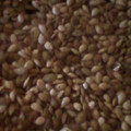 Winnie Kulumba's cooksnap of when they made Pumpkin and pumpkin seeds.