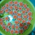 Cooksnap dari Yulia Dr untuk resep Dimsum Ayam Wortel