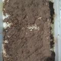 El cooksnap de Flor G Barreiro cuando hizo Tiramisú fácil.