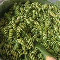 El cooksnap de Beatriz De Asín cuando hizo Salsa pesto.