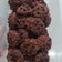 Cooksnap dari Novi Nomi untuk resep Crunchy Oatmeal Cookies