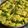 Vaishakhi Vyas's cooksnap of when they made ખાંડવી (Khandvi Recipe In Gujarati).