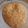 gargi yadav's cooksnap of when they made Onion Kachori.