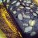 Cooksnap dari raputria untuk resep Brownies ketan hitam 