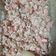 El cooksnap de Karla SERNA NAVA cuando hizo Ensalada de arroz y surimi de langostino.