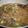 Jasper Mwenda's cooksnap of when they made Pizza sauce.