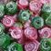 Cooksnap dari wahyu ima untuk resep Candy Jelly Roll