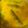 प्राची मलठणकर (Prachi Malthankar)'s cooksnap of when they made शेवग्याच्या शेंगांची गोडा मसाला आमटी... (shevgyachya shengachi goda masala amti recipe in marathi).