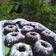Cooksnap dari Vitta Idhee BundanyaAlviansyah untuk resep Bolu Kukus Coklat Tanpa Telur, Tanpa Mixer #TantanganAkhirTahun #MasakdiTahunBaru