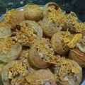 Pinki Chakraborty's cooksnap of when they made ফুচকা(fuchka recipe in Bengali).