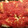 chadmelga.pierce's cooksnap of when they made Stuffed cabbage.