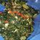 Cooksnap dari Yani_Emak Salsa untuk resep Oseng Daun Pepaya Simple