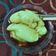 Cooksnap dari Lilis Fitriyah untuk resep Bubur Sumsum Lembut 1:10