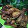 Cooksnap dari Ellin Dulhakim untuk resep Ayam Goreng Kalasan