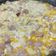 Cooksnap dari Rury Avianti untuk resep Setup Makaroni khas Solo