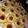 El cooksnap de Sofia Paulon cuando hizo Pepas Frutos del Bosque 🍪.