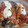El cooksnap de Daiana cuando hizo Canelones de acelga receta fácil y económica😊con salsa blanca y roja.